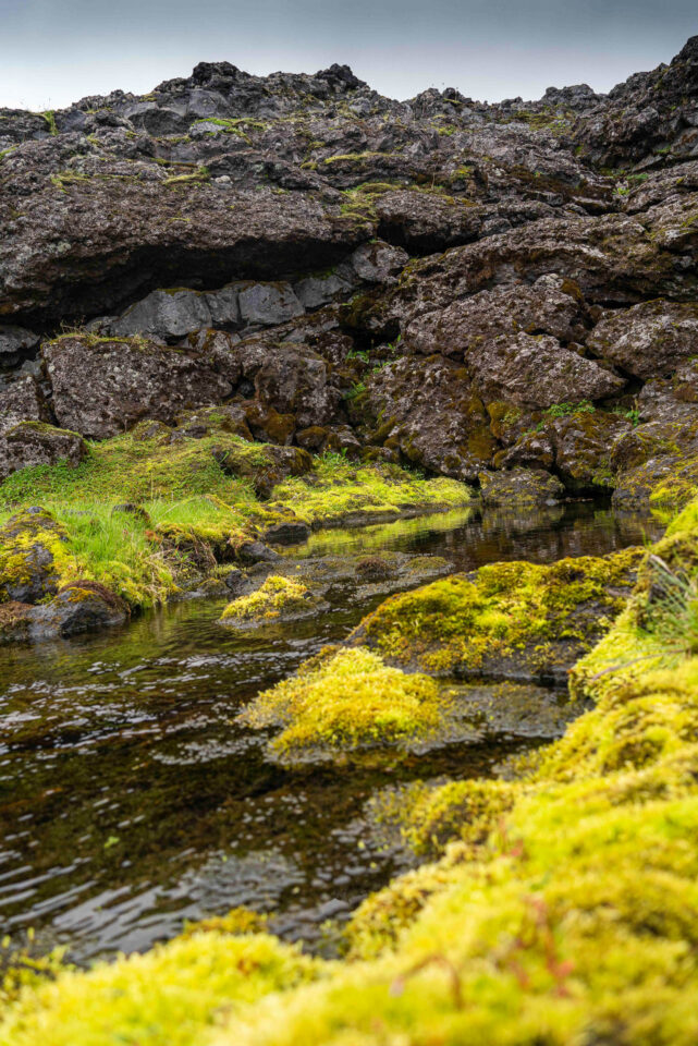 Bikepacking the Iceland Divide