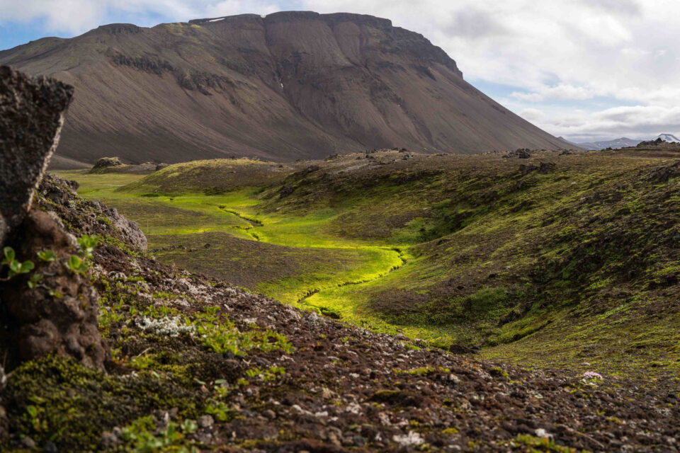 Bikepacking the Iceland Divide