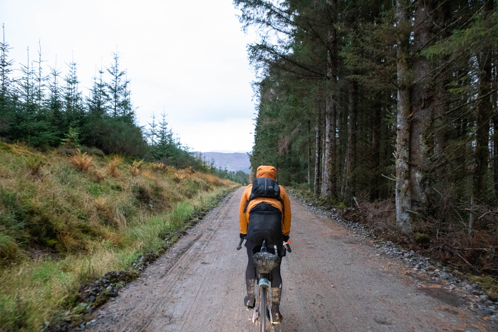 Reader's Rig: Alex's Stayer OMG - BIKEPACKING.com