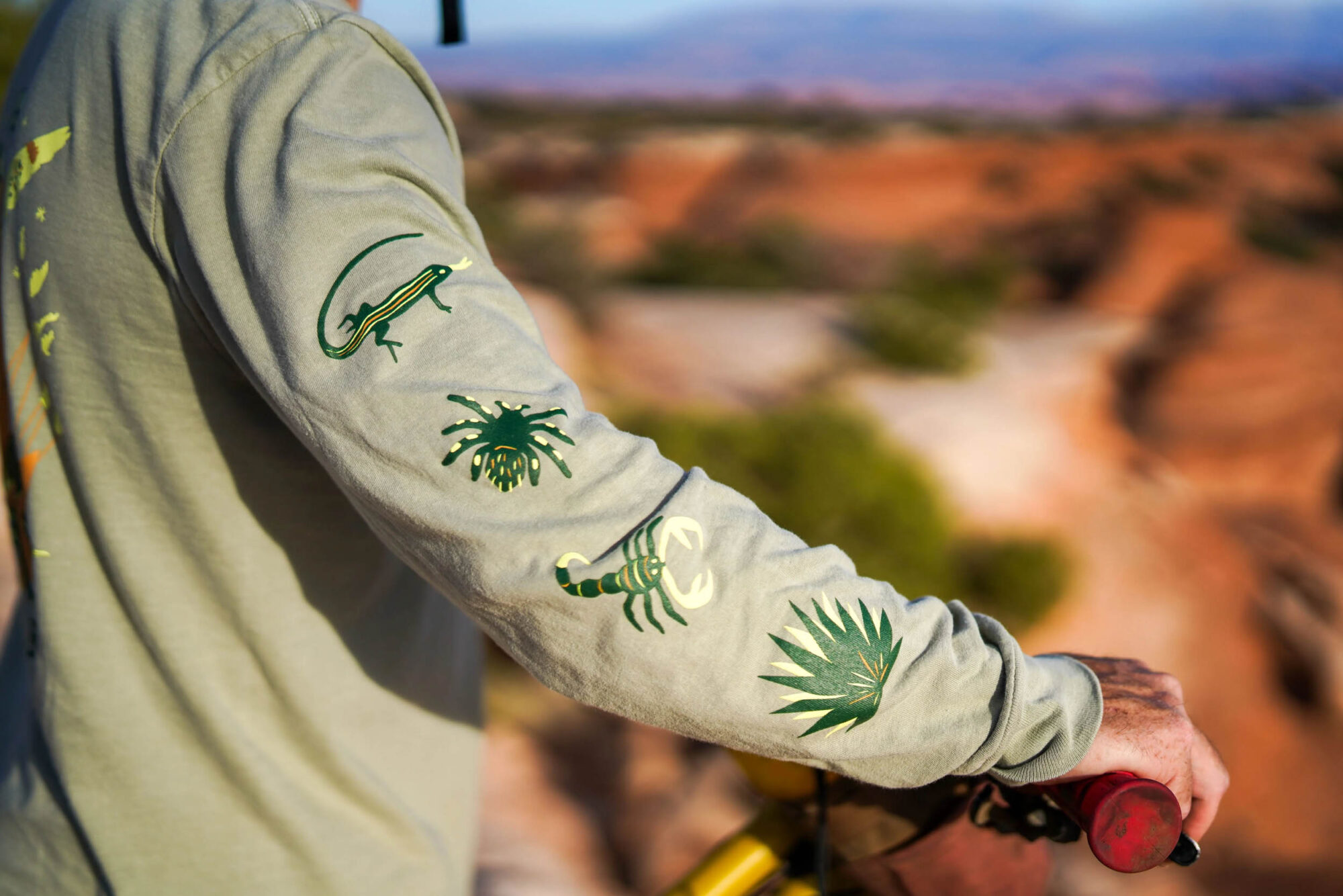 Desert Animal Collection from SimWorks