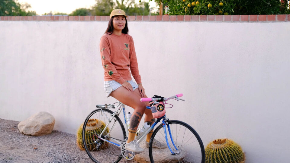 Desert Animal Collection from SimWorks