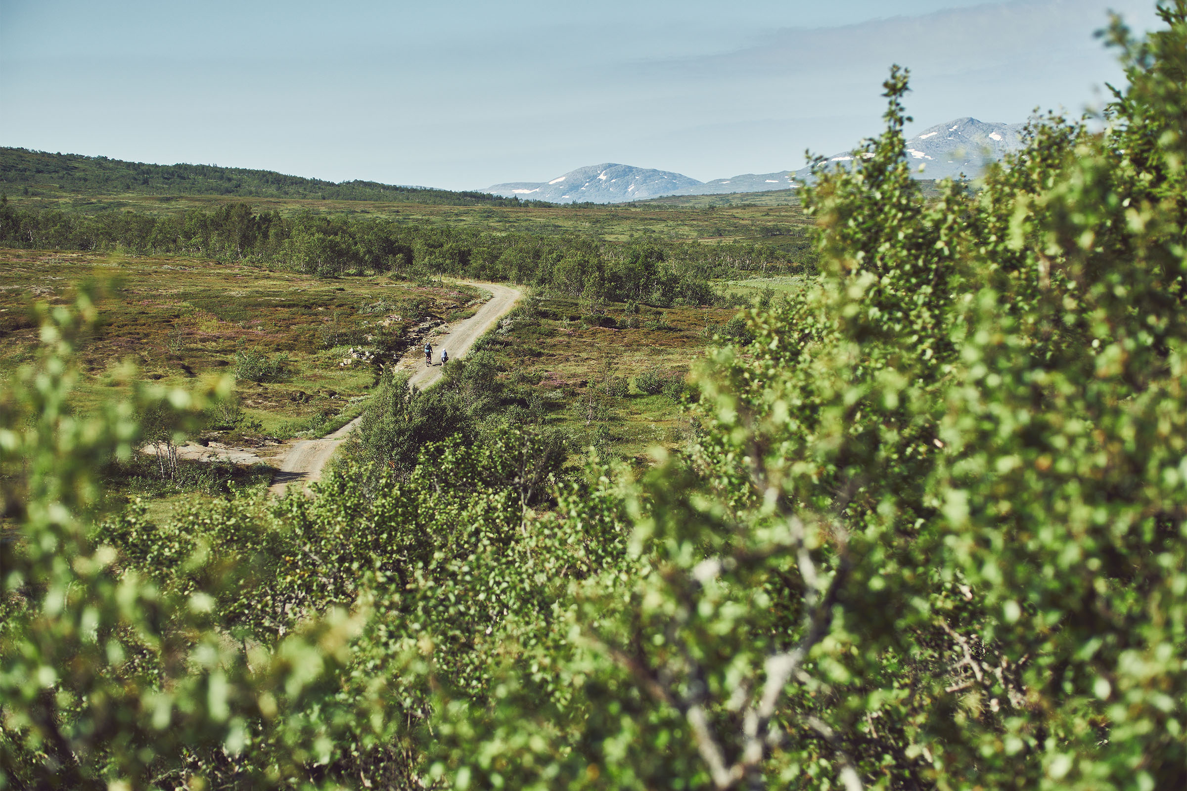 Gravel Odyssey Jamtland