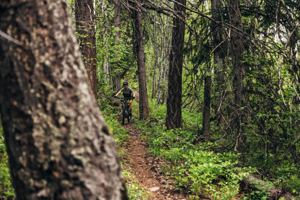 west kootenay bikepacking route network