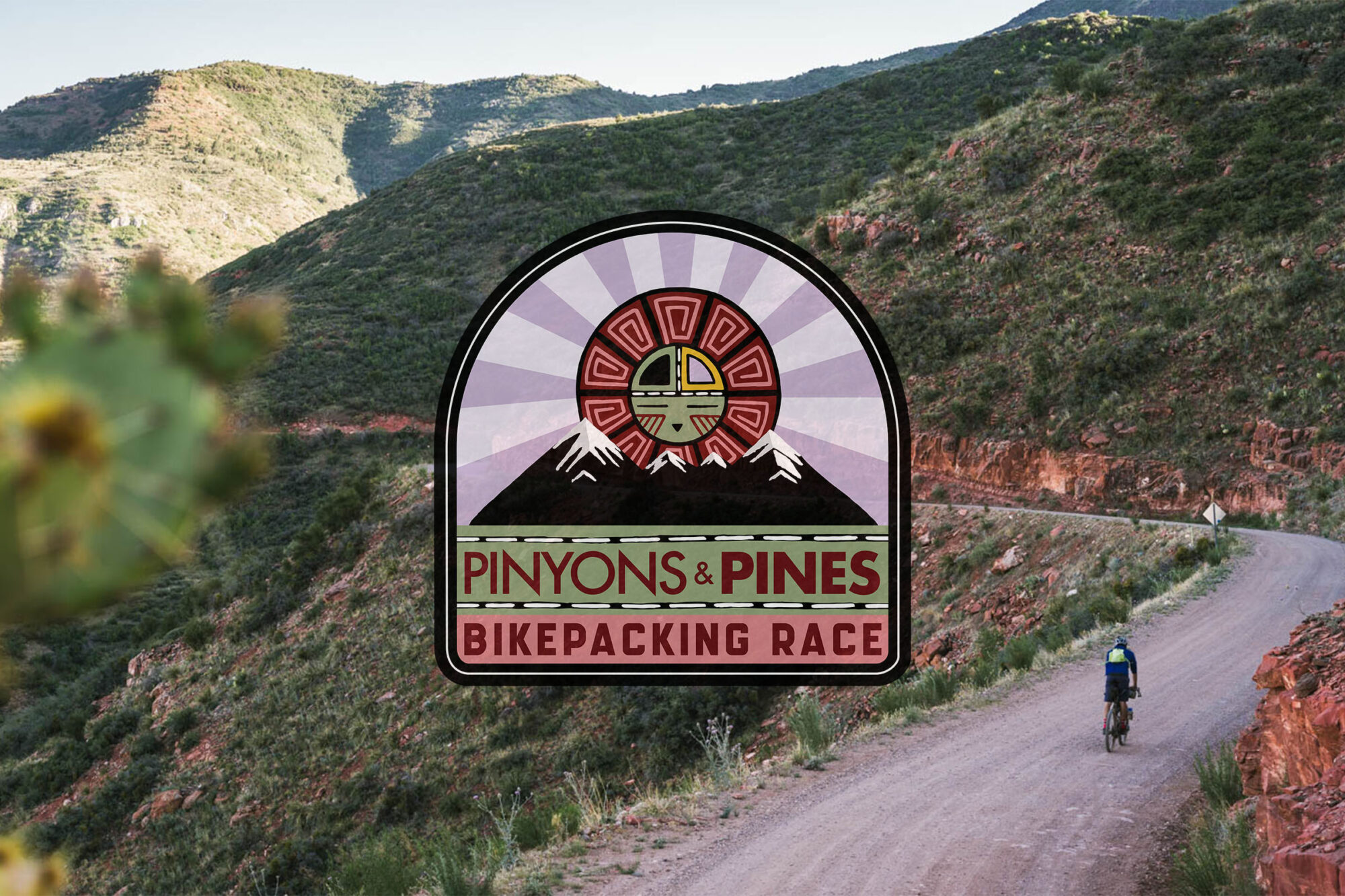 pinyons and pines 2025