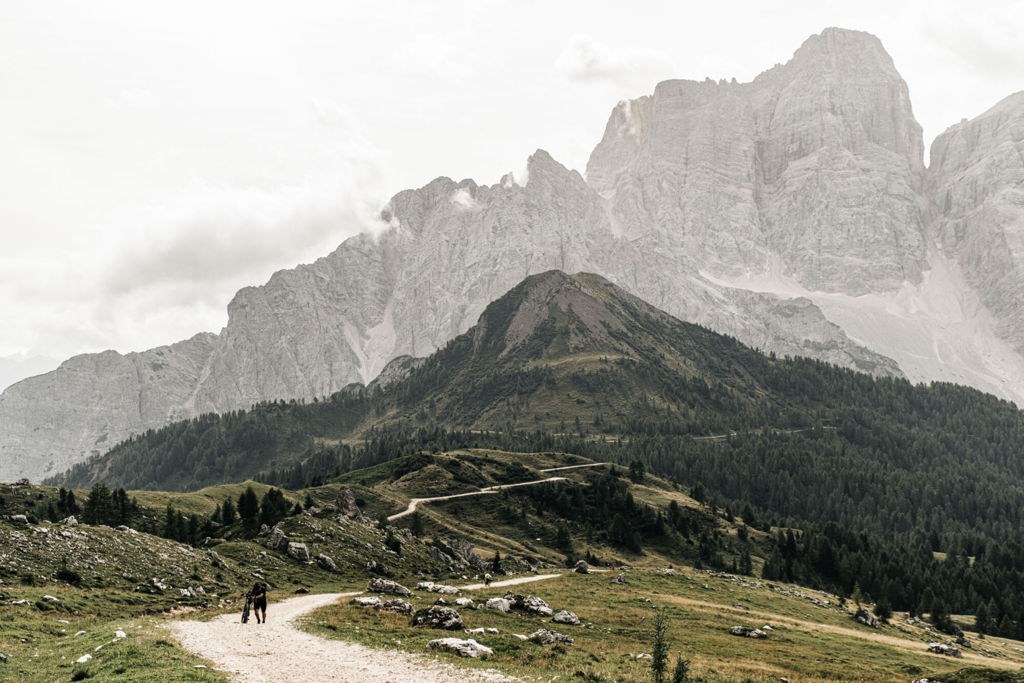 sneak peaks 2024 video