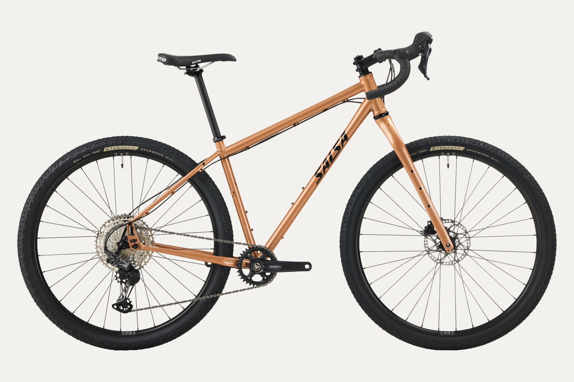 2025 Salsa Fargo