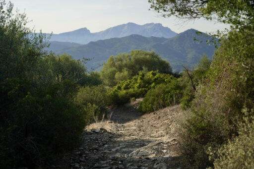 TranSardinia Bikepacking Route