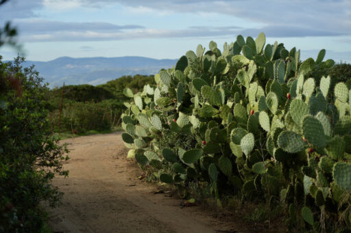 TranSardinia Bikepacking Route