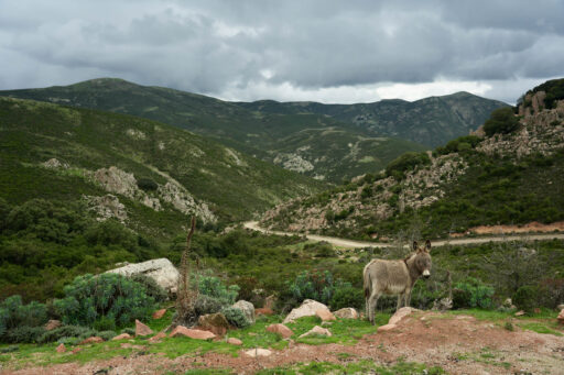 TranSardinia Bikepacking Route