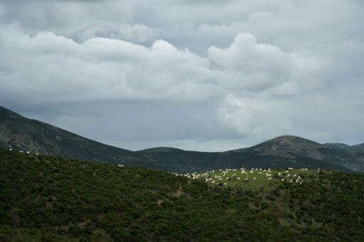 TranSardinia Bikepacking Route