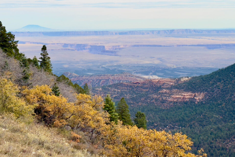 cracked 2024 arizona trail race