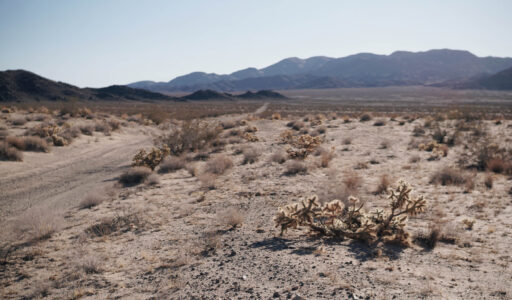 Golden Jackrabbit Loop Bikepacking Route