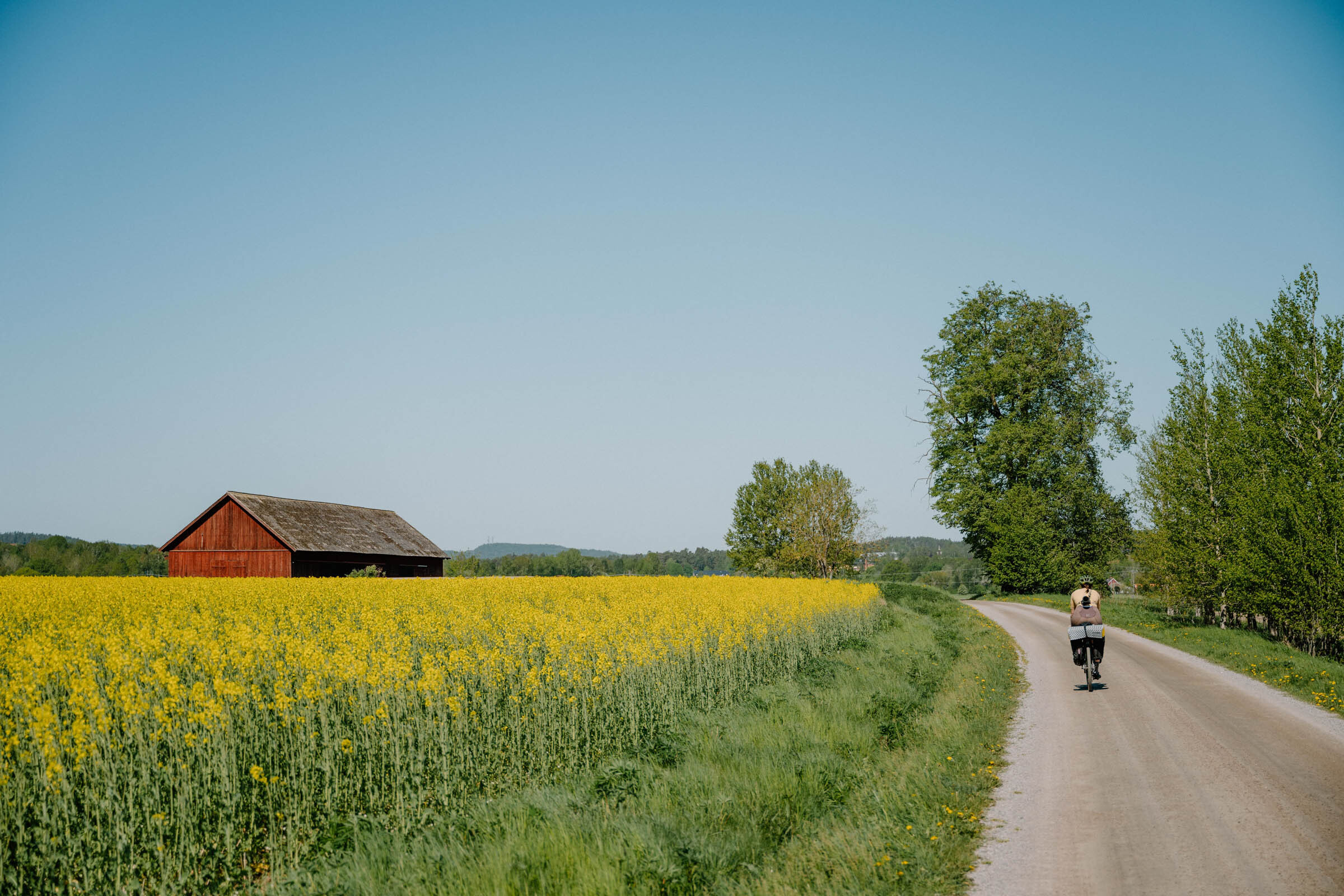 rode to joy film