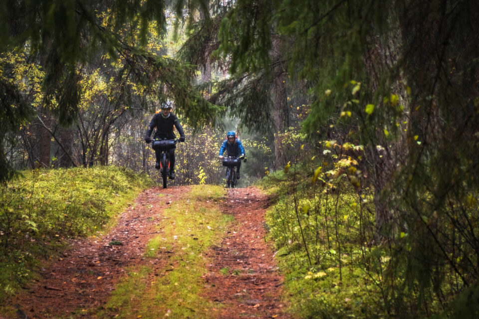 Hydra (A Trail Through the Baltics)