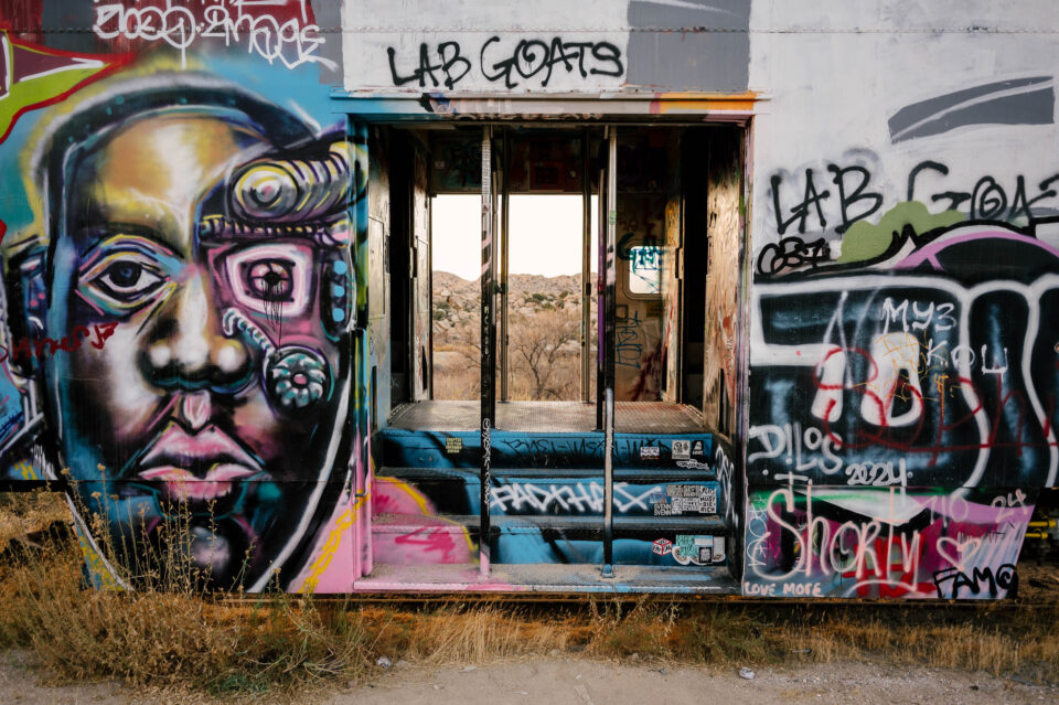 Inside Urban Desert, Slab City