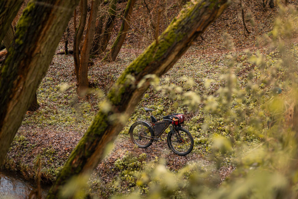 Marin Pine Mountain