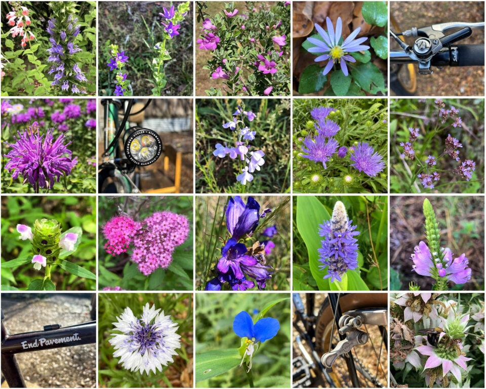 Reading and Riding the Landscape: A Guide for Naturalists