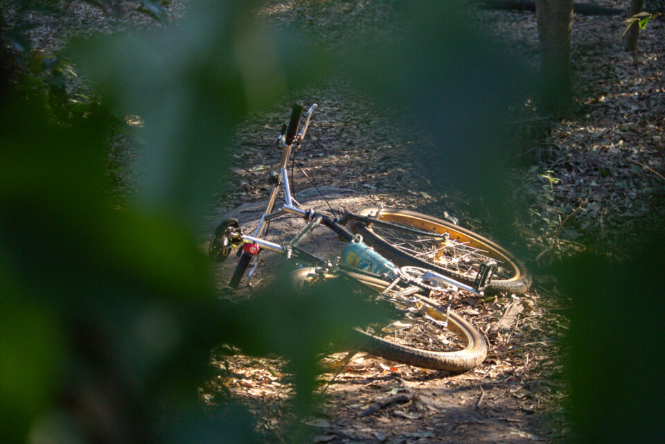 Reading and Riding the Landscape: A Guide for Naturalists