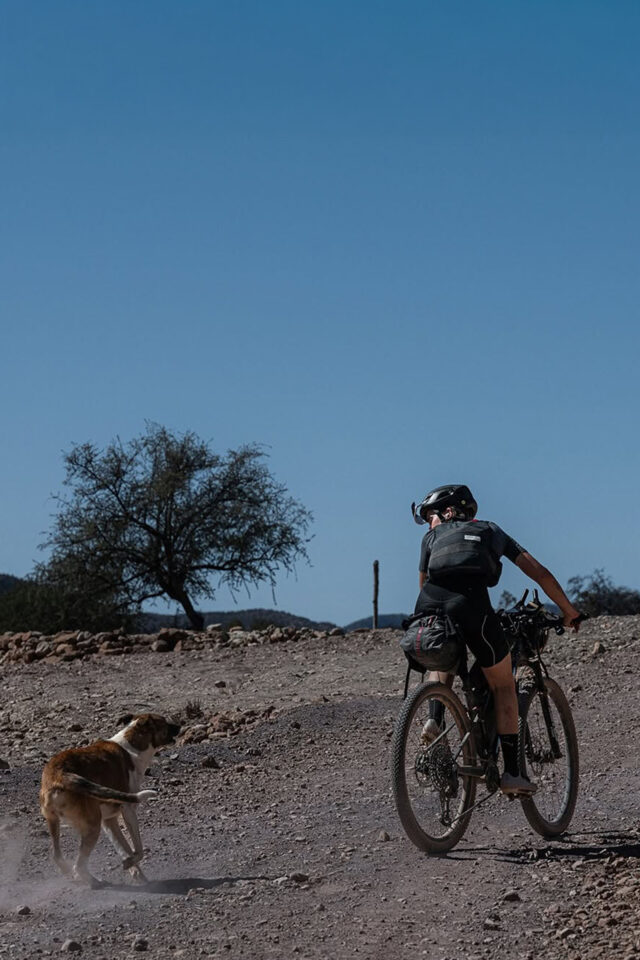 Marei Moldenhauer 2025 atlas mountain race