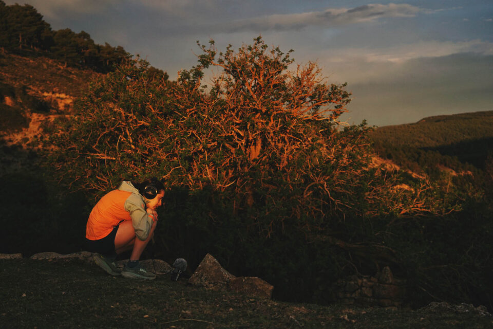 A Soundscape Reserve