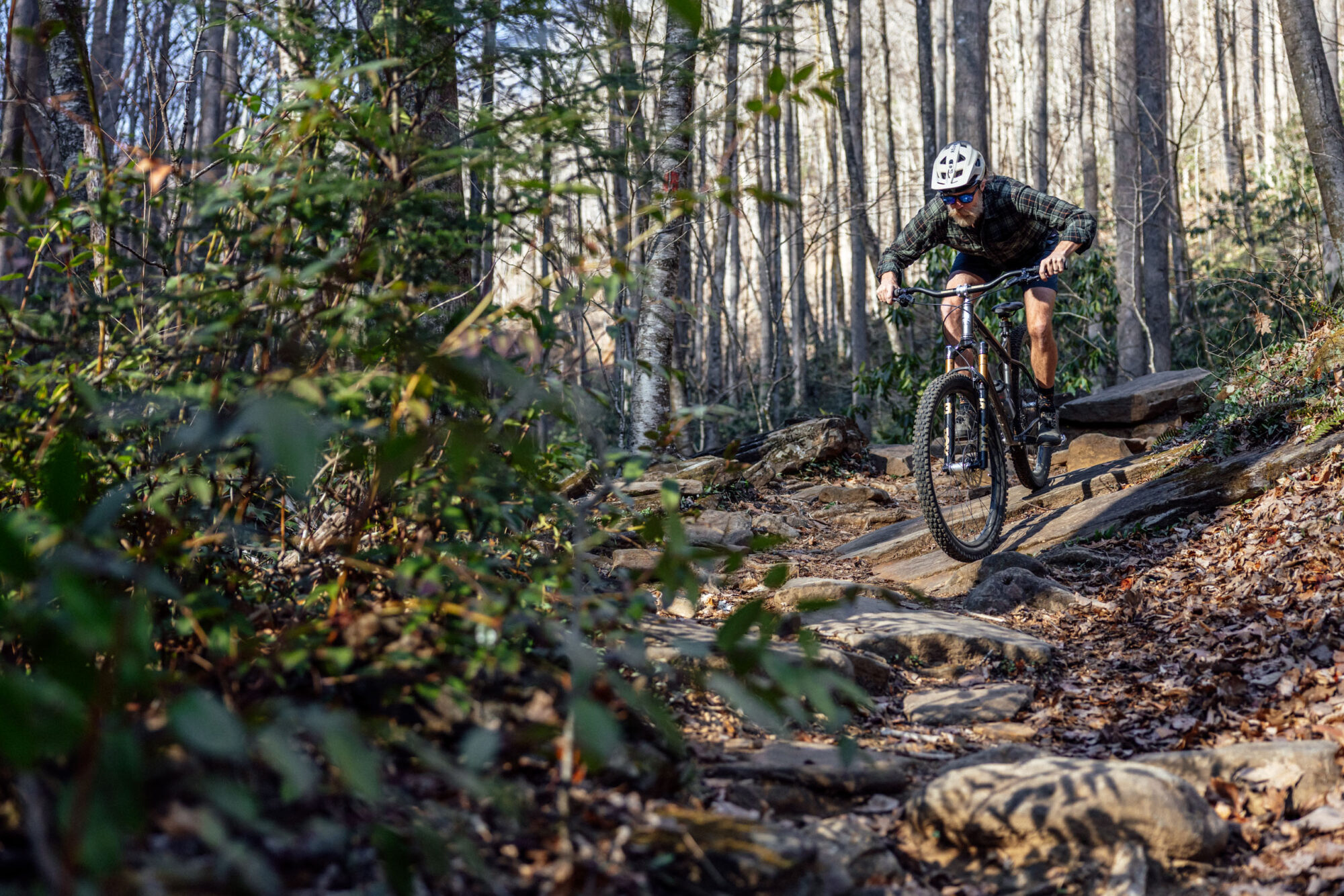 Fox 36 SL Review, 36SL