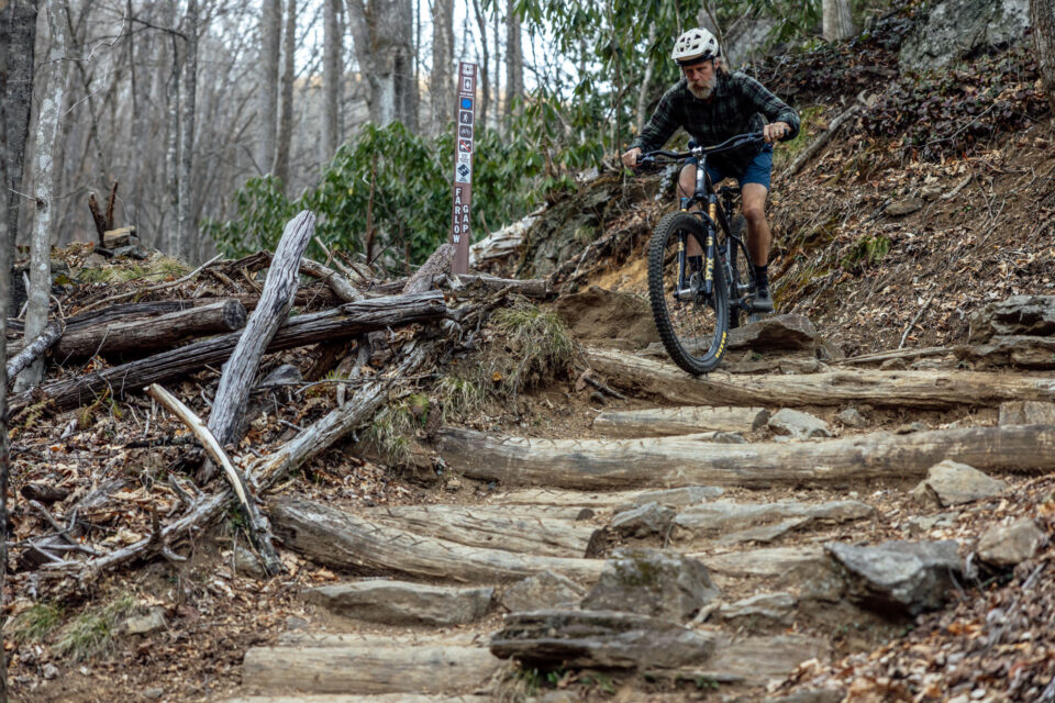 Fox 36 SL Review, 36SL