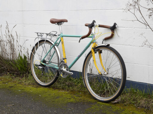 novara-aspen-customized_drop-bars-gravel-build_1