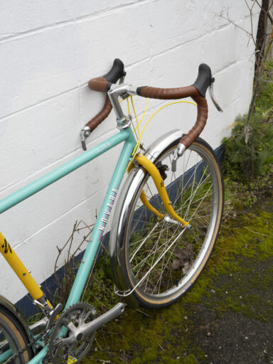 novara-aspen-customized_drop-bars-gravel-build_2
