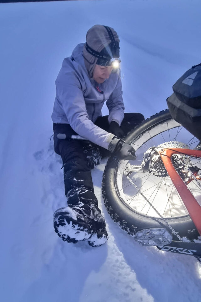 Perilla 2025 iditarod trail