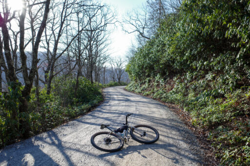 Weekend Snapshot 3/23/25