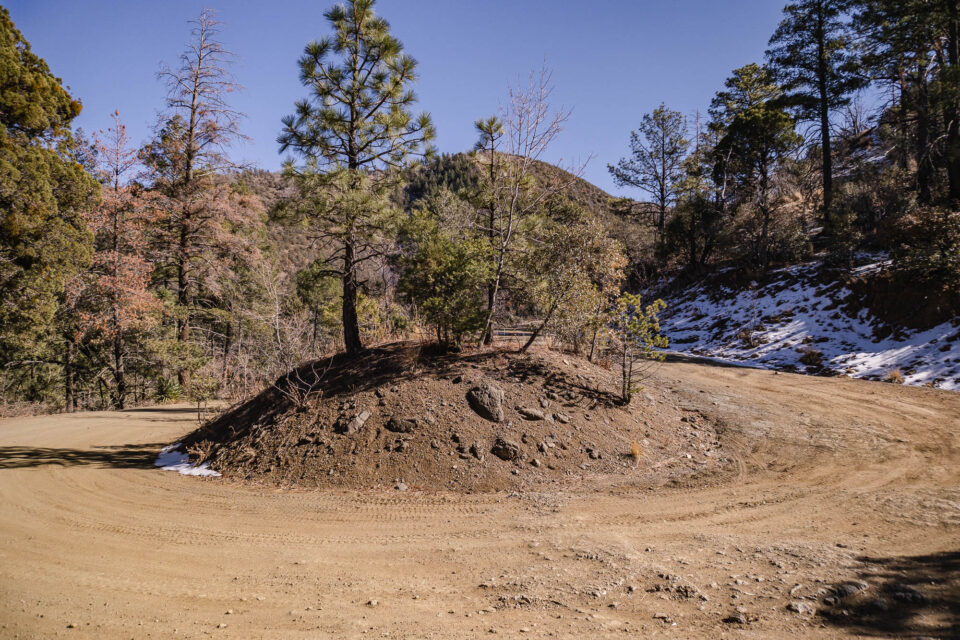 Winter Desert Ramble
