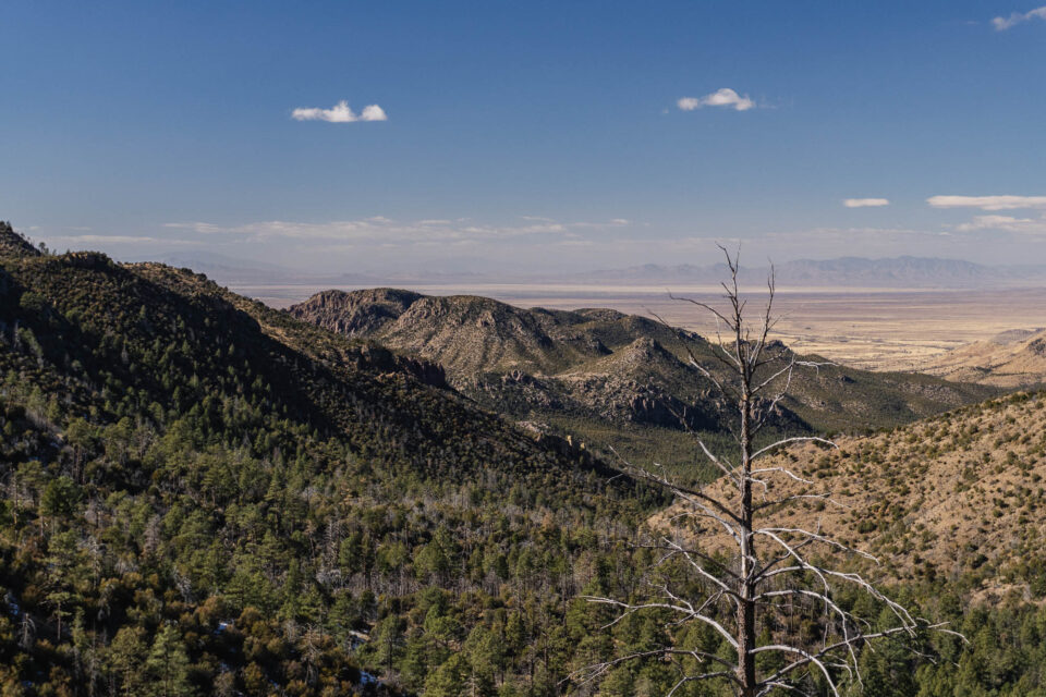 Winter Desert Ramble