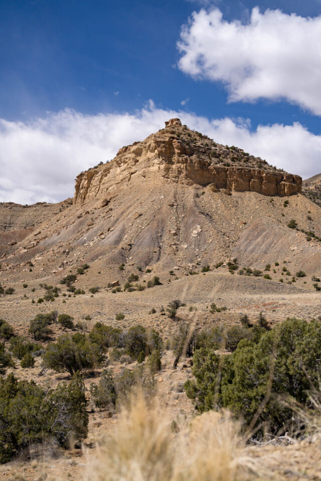 Cycling Past the Winter Blues in Rabbit Valley 