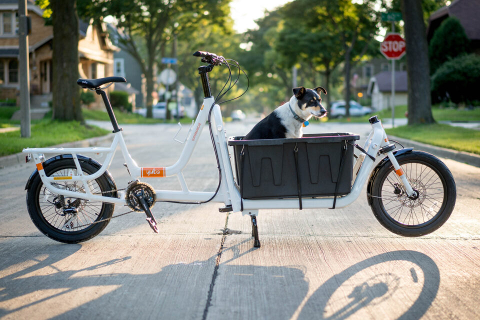 Omnium Cargo Dogpacking