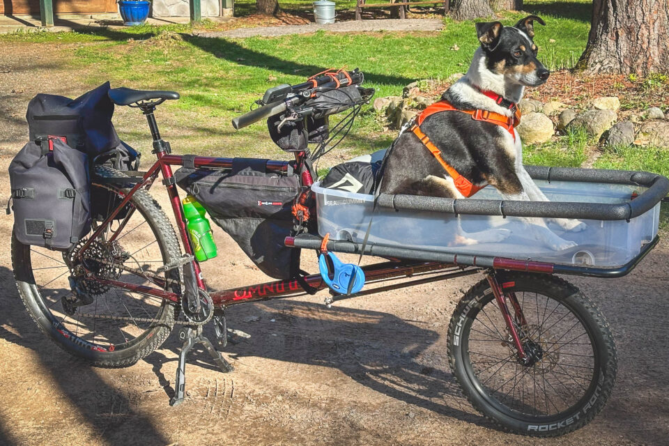 Omnium Cargo Dogpacking