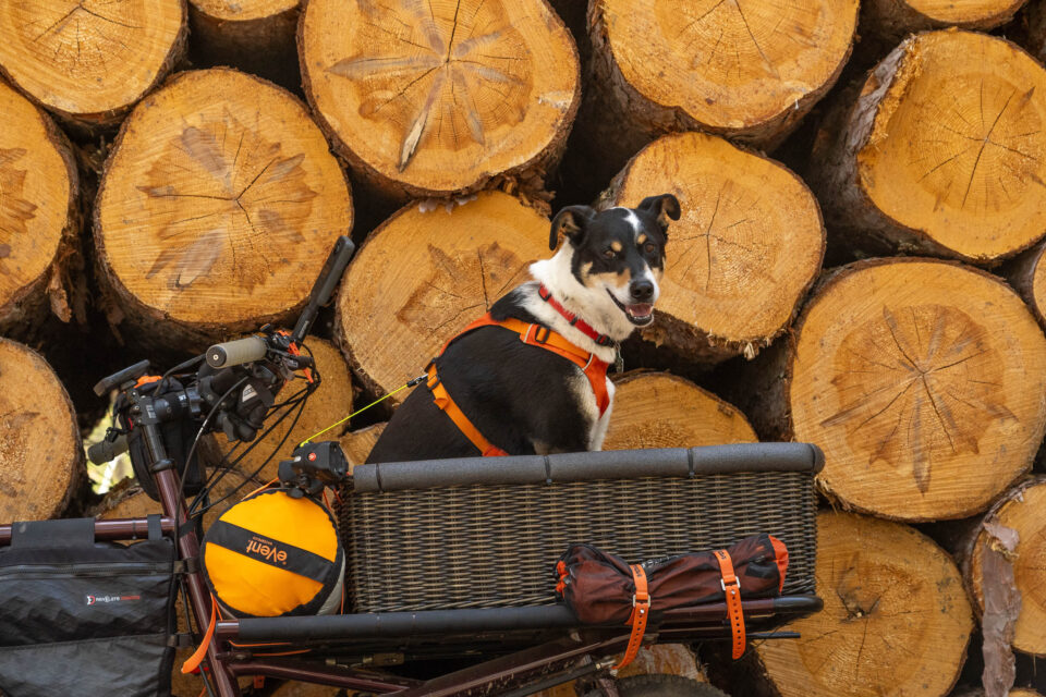 Omnium Cargo Dogpacking