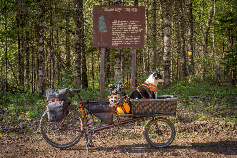 Omnium Cargo Dogpacking