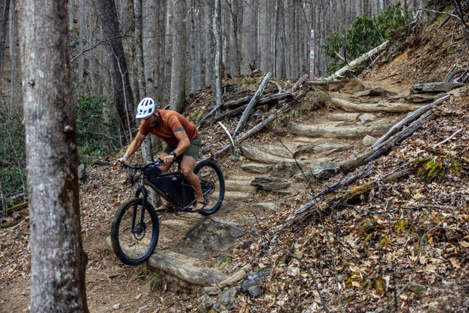 Seido Taza Fork Review