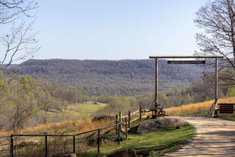 DOOM 2025 Scratch Report