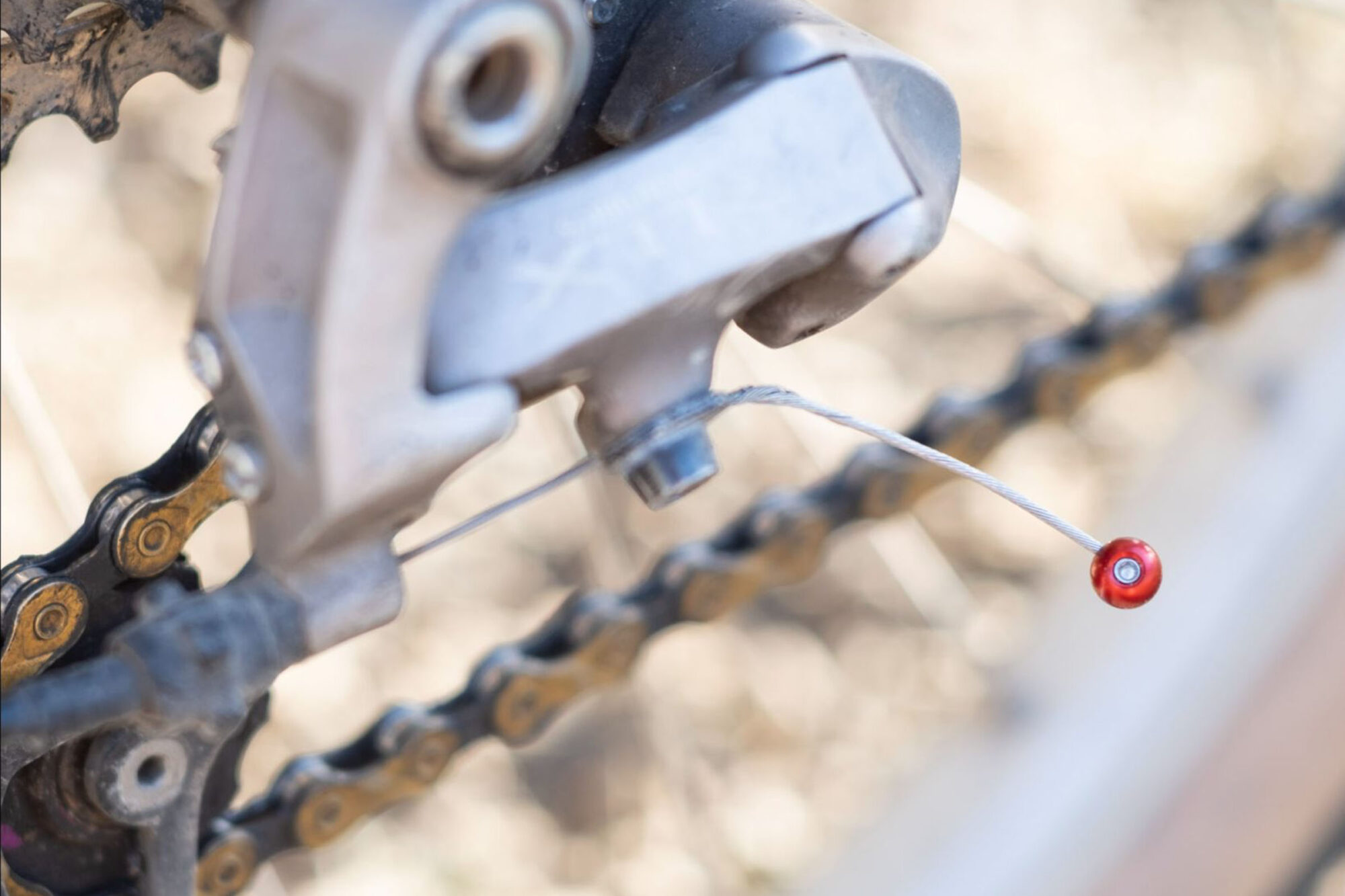 Forager Cycles Cherries Red