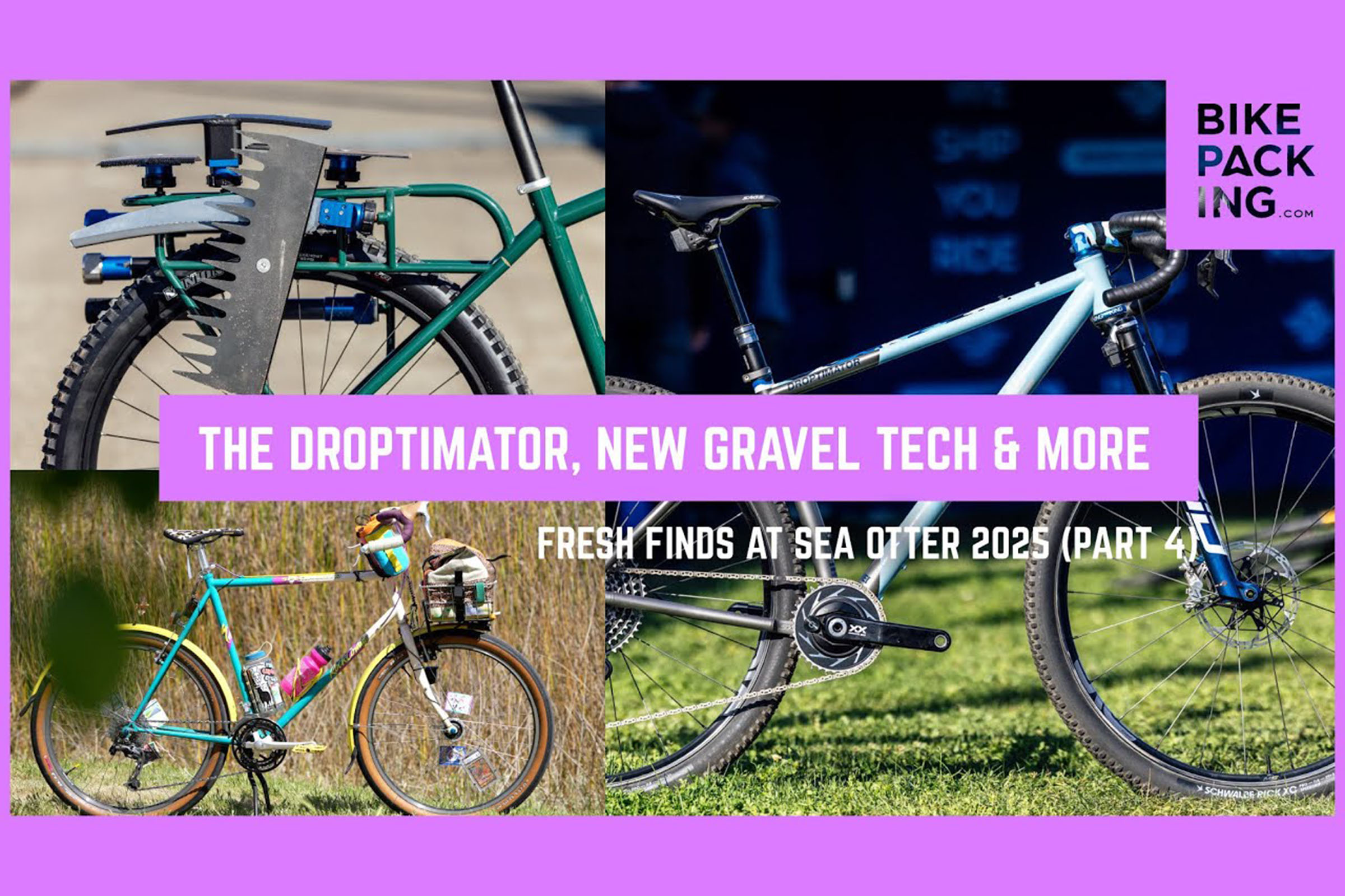 sea otter 2025 video four