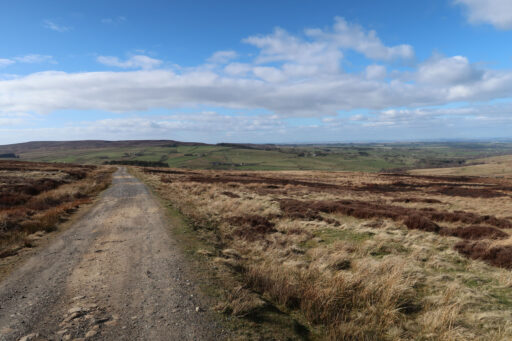 Coals to Newcastle Trail