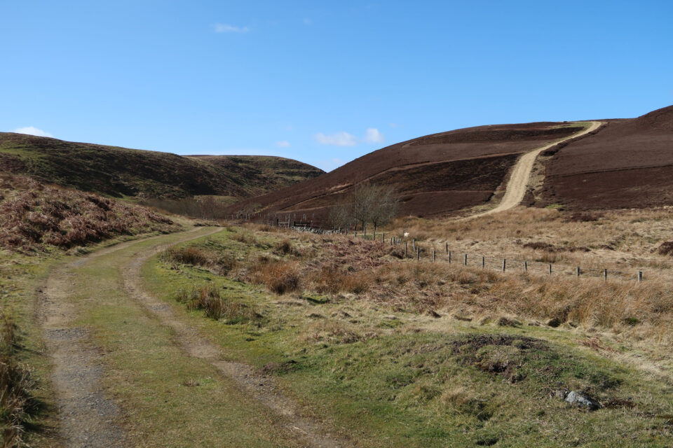Coals to Newcastle Trail