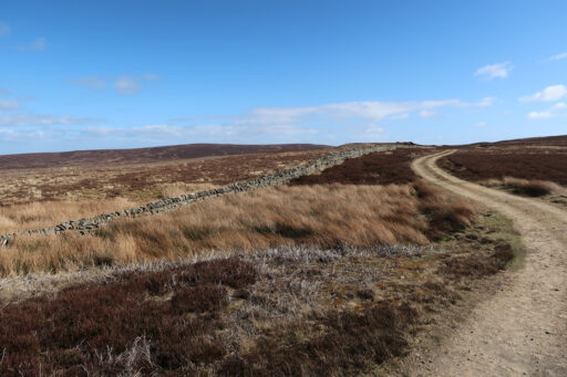 Coals to Newcastle Trail