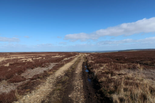 Coals to Newcastle Trail