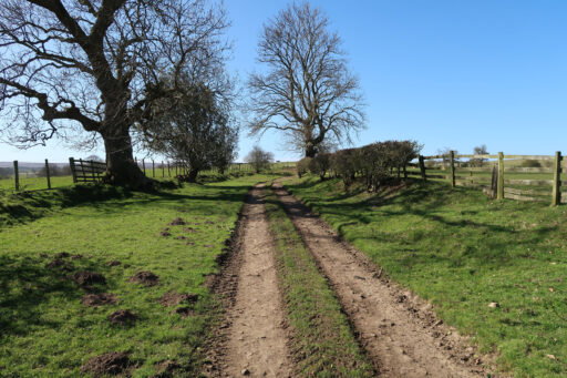 Coals to Newcastle Trail
