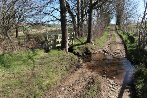 Coals to Newcastle Trail