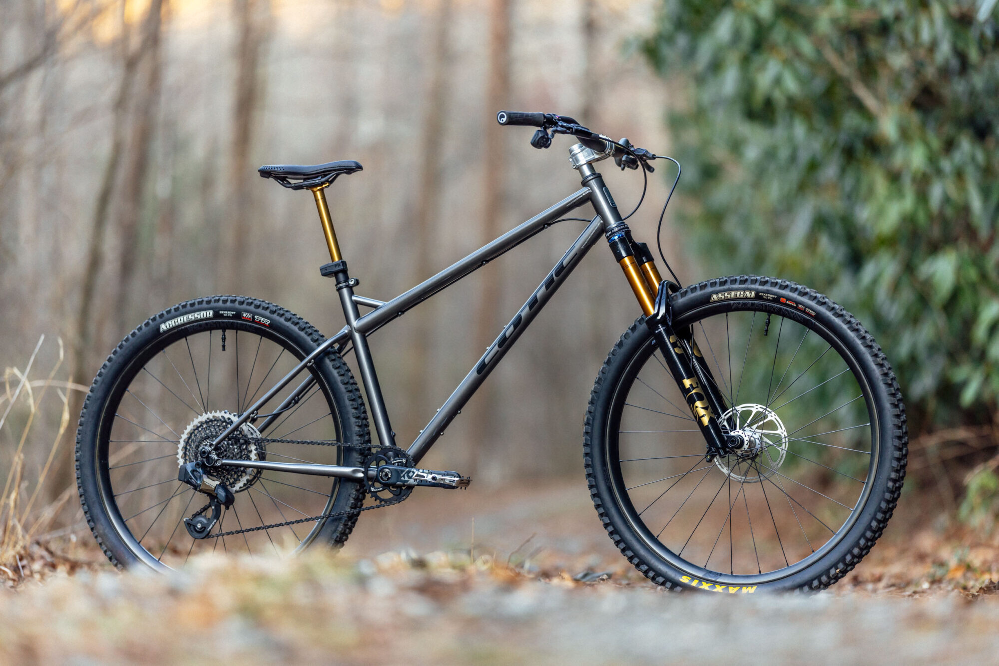 Cotic BFe Review