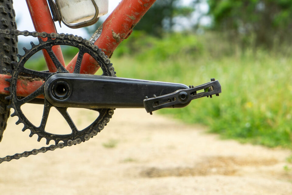 Ritchey Bigfoot Pedals