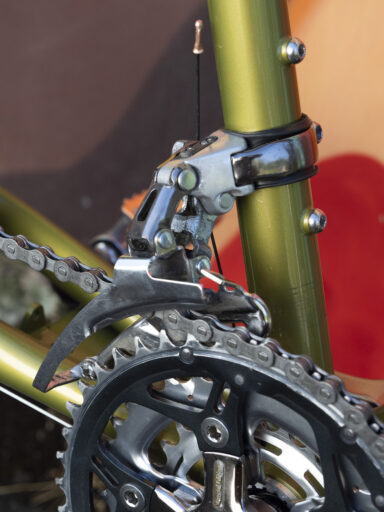 rivendell-appaloosa-limeolive-46cm-justins-edit_9